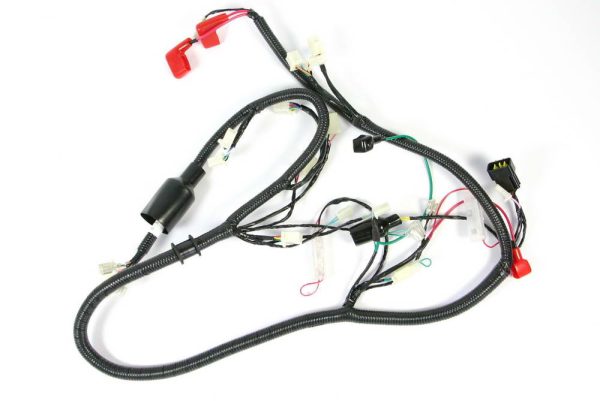 WIRE HARNESS ASSY CHARGER EURO IV