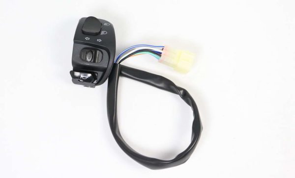LEFT HANDLE SWITCH ASSY
